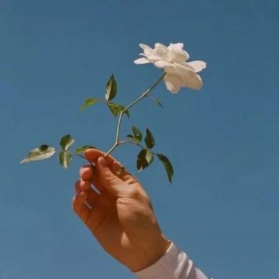 博鱼网页版官网登录